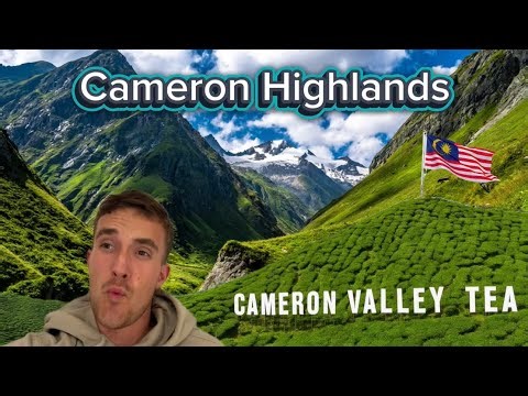 HIKING A CRAZY DANGEROUS TRAIL IN THE CAMERON HIGHLANDS | MALAYSIA 🇲🇾 