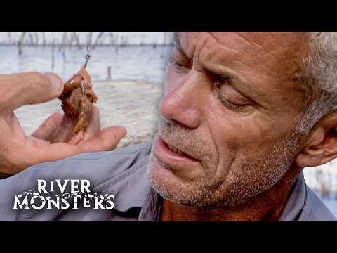 Flesh Eaters: Fishing For Carnivorous Predators | River Monsters