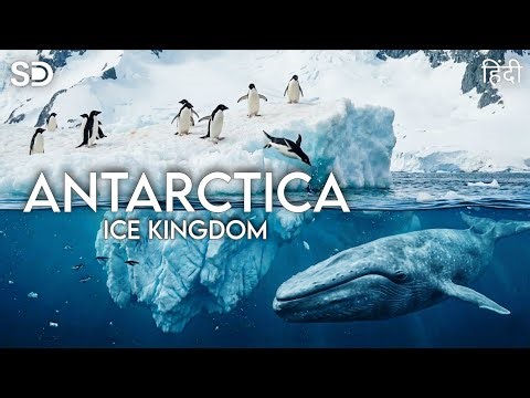 Antarctica Ice Kingdom | Antarctica Continent | हिंदी | Sarain Documentary