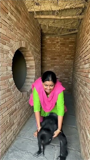 The Dog saves gorilla #ghaffarbhai