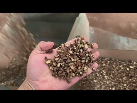 AMD Danshen Color Sorter Machine with Latest Deep Learning AI Technology