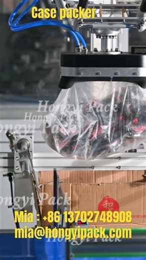 Automated Case Packer: Unlock Maximum Efficiency, Precision, High-Speed, Flexible Packing Solutions