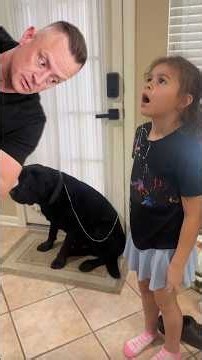 Would You Let Your Dog Do This?