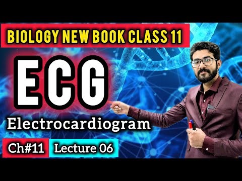 ECG: Electrocardiogram & Electrocardiograph Class 11 | P, QRS & T Waves | Biology New Book 
