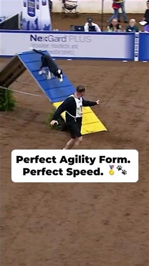 Perfect Agility Form Perfect Speed