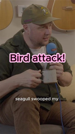 Seagull attacks defenceless mother and child!