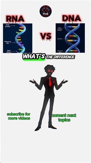 DNA vs RNA: What’s the Difference? 🧬 | DNA vs RNA Explained Simply