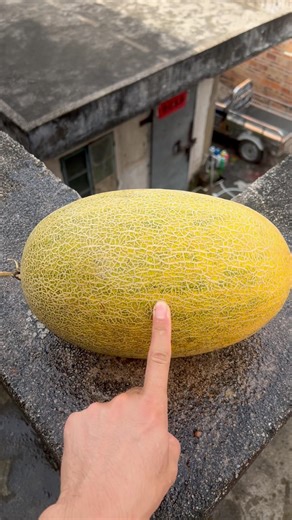 Experiment: Will cantaloupes and watermelons explode if rolled down a tall building? 🍉💥#shorts