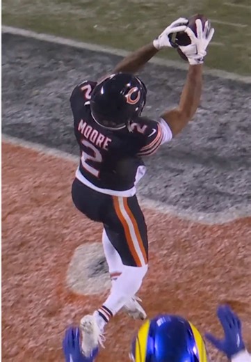 DJ Moore's Incredible Catch Highlights Bears' Playoff Hopes