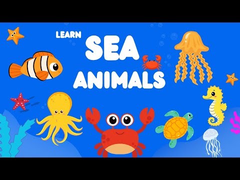 Sea Animals Name | ocean Animals Name | Learn Sea Animals for Kids | Sea Animal | Animal Video