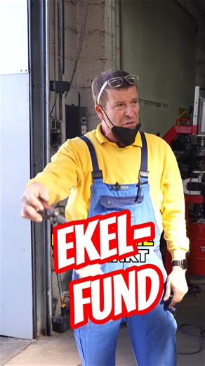 EKELHAFTER FUND! 🤮