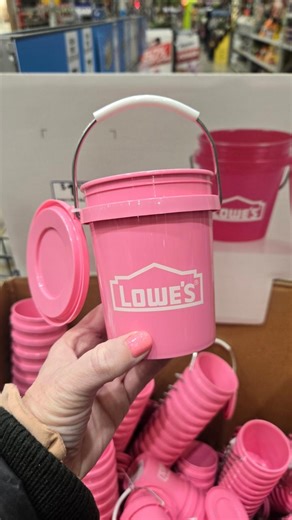 Collin Morgan on Instagram: "💗 Lowe’s just dropped a pink version of their viral Mini Bucket! This cutie is just $1.98, comes with a lid, is BPA-free, food-safe, and perfect for Valentine’s Day treats, crafts, and more. Comment BUCKET and we’ll send you the link!"