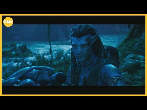 ‘Avatar: Fire and Ash’ tops holiday box office