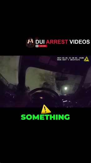 Transporting the Suspect to the Station