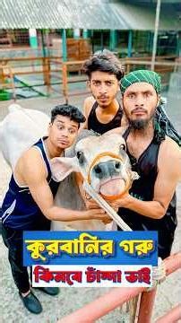 কুরবানির গরু কেনার জন্য চান্দা উঠাচ্ছে চান্দা ভাই | Family Entertainment bd | Bangla Funny Video