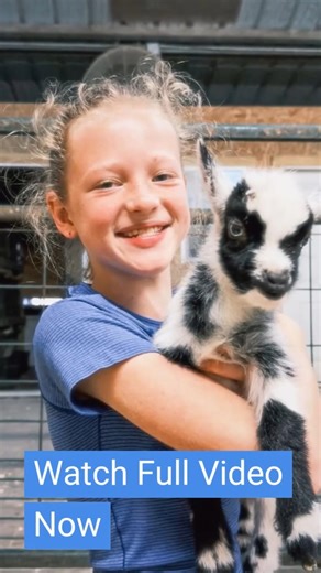 Give us all the baby goats! They sure did love Parker Kate’ wild hair 😂 #outdaughtered