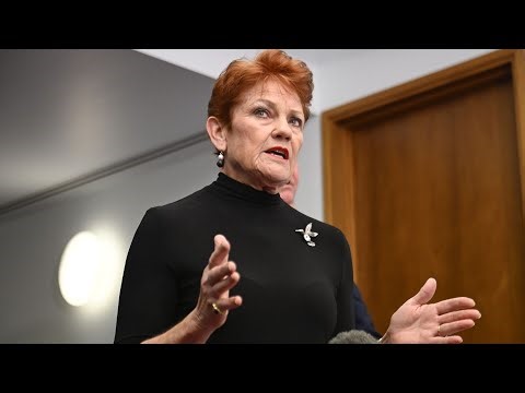 One Nation candidate in ‘very close race’ with Independent in Farrer by-election