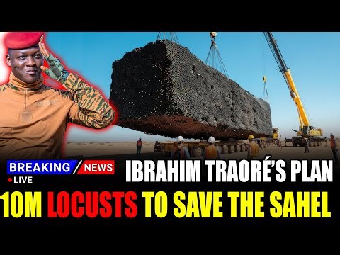 Ibrahim Traore Released Locusts to Save the Sahel—And It Worked