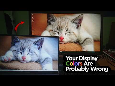 Your Display Colors Are Probably Wrong | Here s How to Fix It