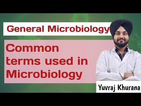 Common terms used in Microbiology| Medico Paji 