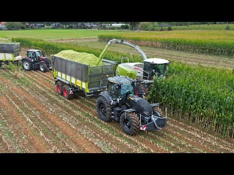 Mais Silage 2025 | Claas Jaguar + Valtra | Sturris Laren