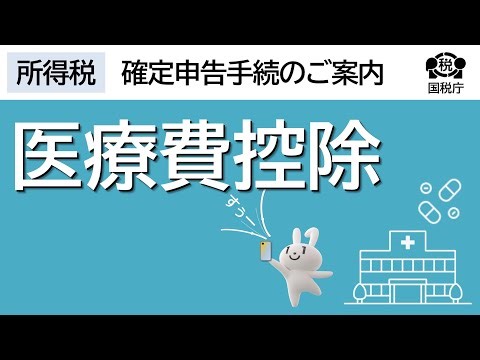 医療費控除の入力方法