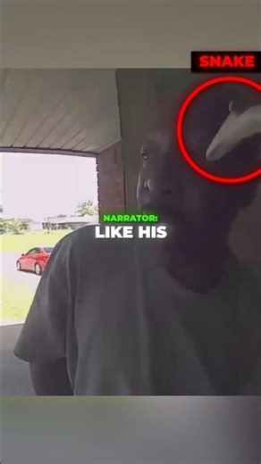 Hilarious Moment As Man Gets Bitten By Snake