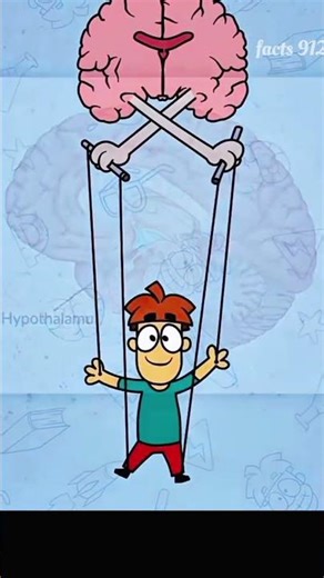 Why do shiver in the cold 🥶 #Amazing #facts