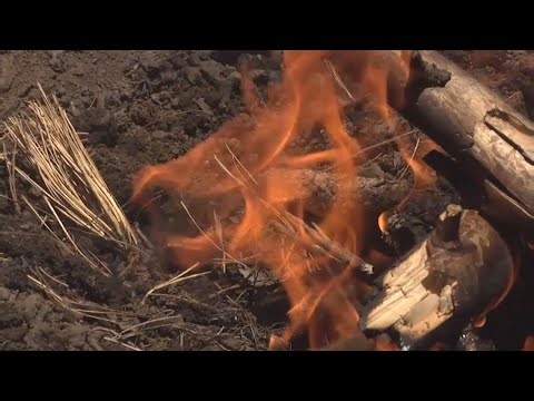 Annual fire bans take effect across Phoenix, Maricopa County parks
