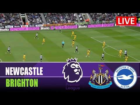 NEWCASTLE vs BRIGHTON 3-1 | 2026 Premier League | Match Highlights