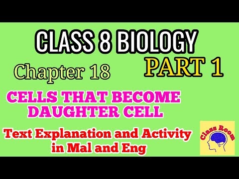 Class 8 Biology Chapter 18 cells that become Daughter cells part 1