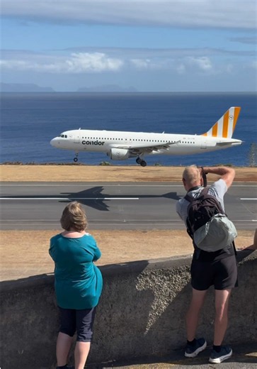 Condor smooth landing at Madeira Airport — Condor stripes landing