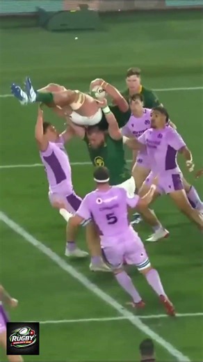 🧠 Springbok Innovation! #springboks #rassieerasmus #rugbyinnovation #rugbygenius #nextlevel