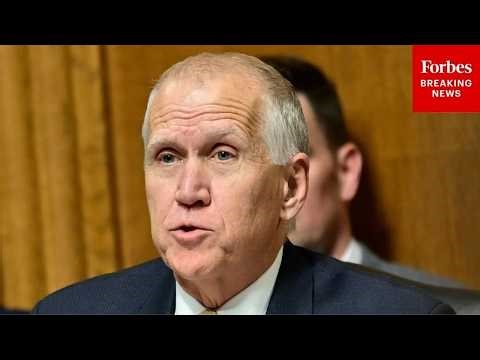 Thom Tillis Leads Senate Judiciary Committee Hearing On China's Theft Of U.S. Innovation