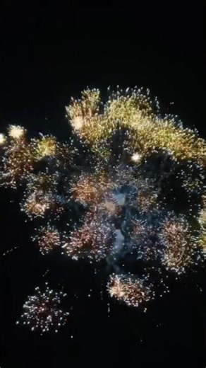Amazing Backyard Fireworks Show: Colorful Bursts Light Up the Night Sky!