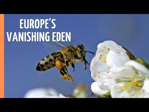 The Vanishing Eden in Your Backyard | Full Episode