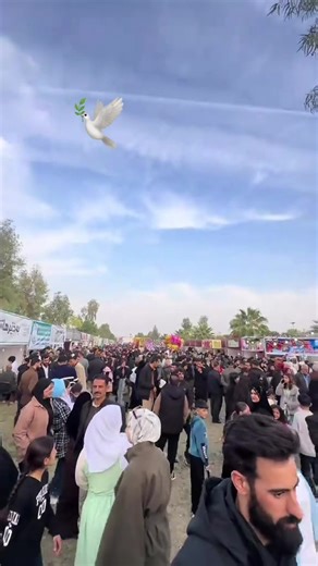 ‏ئەویشم لەدەست دا🖤🕊️#خاکی #کفریەکـــەمـ🖤گەرمیانم