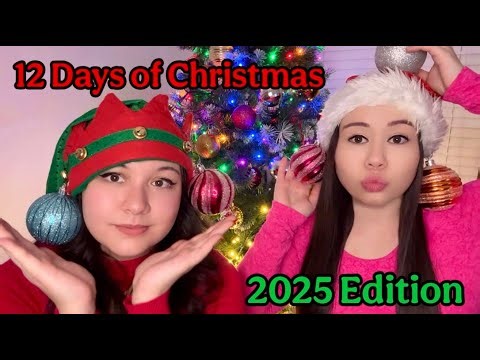 12 Days of Christmas Parody | 2025 Version
