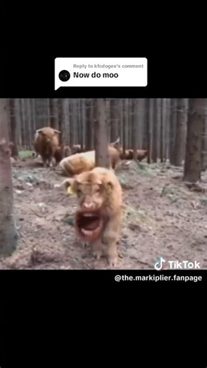 MARKIPLIER JUST SAID MOO 😭💀