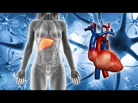 Stabilize Heart Rate and Blood Pressure | 432Hz Alpha Waves for Healing and Deep Sleep #4