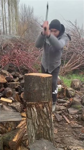 care of a tree. 🌳