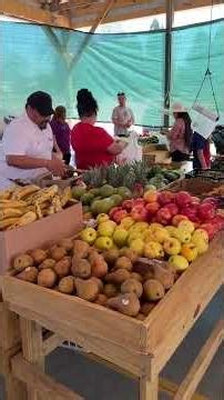 Webb Road Flea Market | Salisbury, N.C.