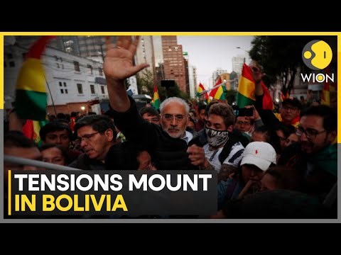 Bolivia Crisis: Protesters Clash With Police in La Paz Over Fuel Subsidy Cuts | WION