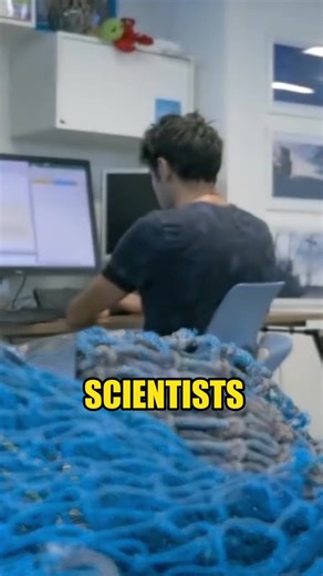 How one plastic bag turns into millions of microplastics: Shocking new research on ocean pollution