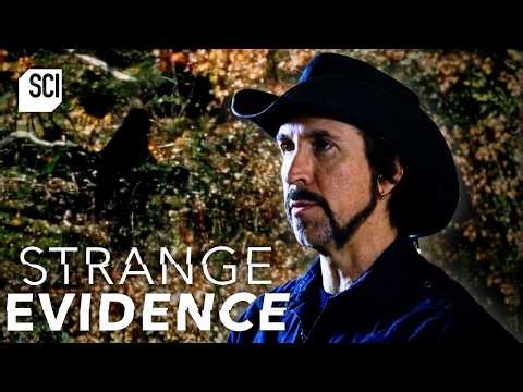 Bigfoot Caught on Camera? | Strange Evidence | Science Channel