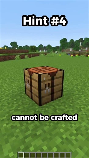 6 Hints to Guess the Minecraft Block!