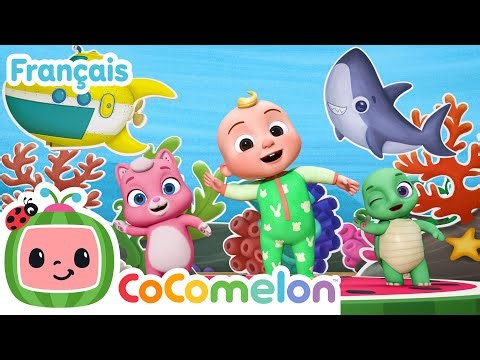 Au bord de la baie | Faire Danser Bébé | CoComelon en Français | Chansons pour bébés