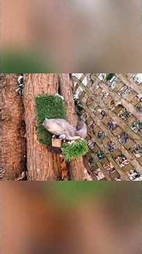 9mm Tannerite Slugs... Humane?