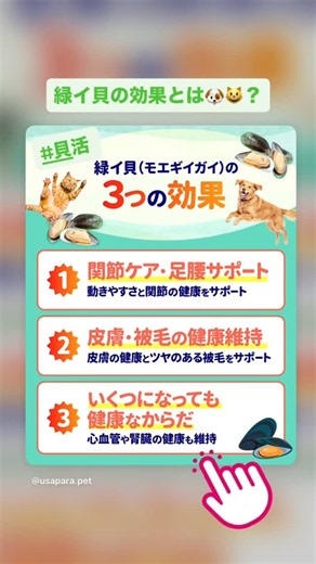 うさパラ ペットの情報局 on Reels