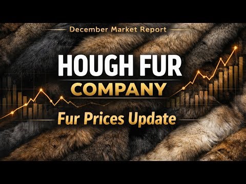 Fur Market Price Update 25-26 Season Regional 